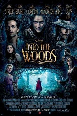 Película Into the Woods