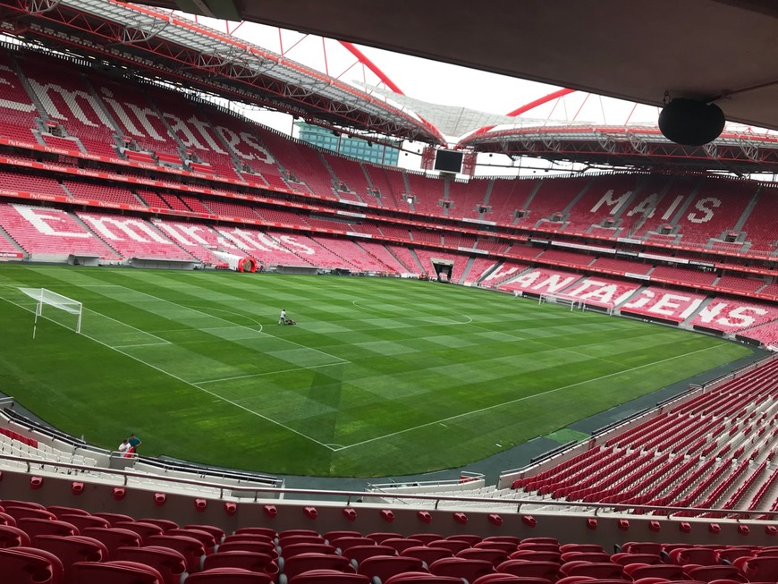 Place Estádio Sport Lisboa e Benfica