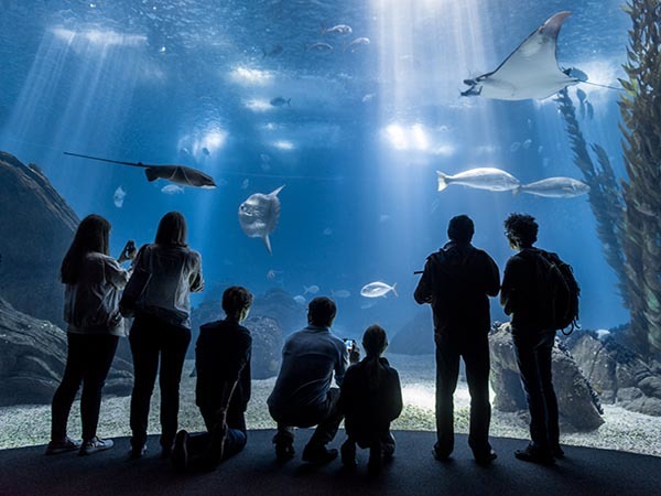 Place Oceanario de Lisboa