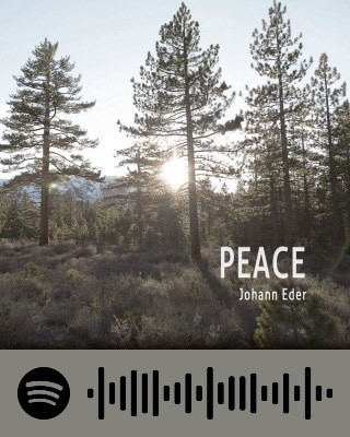 Music Peace