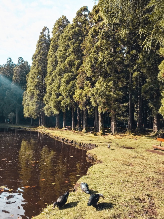 Place Lagoa das patas 🐾 - Ilha Terceira 