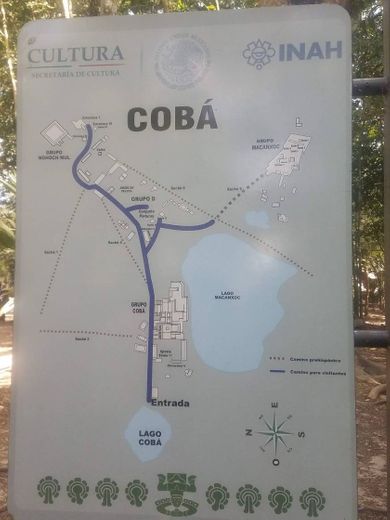 Cobá