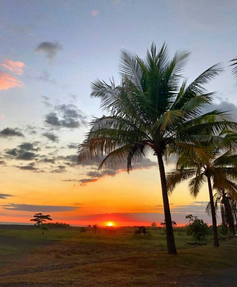 Lugar Playa Palo Seco