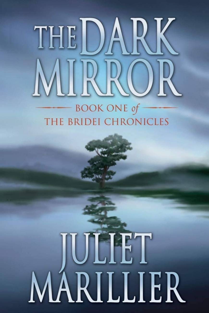 Libro The Dark Mirror