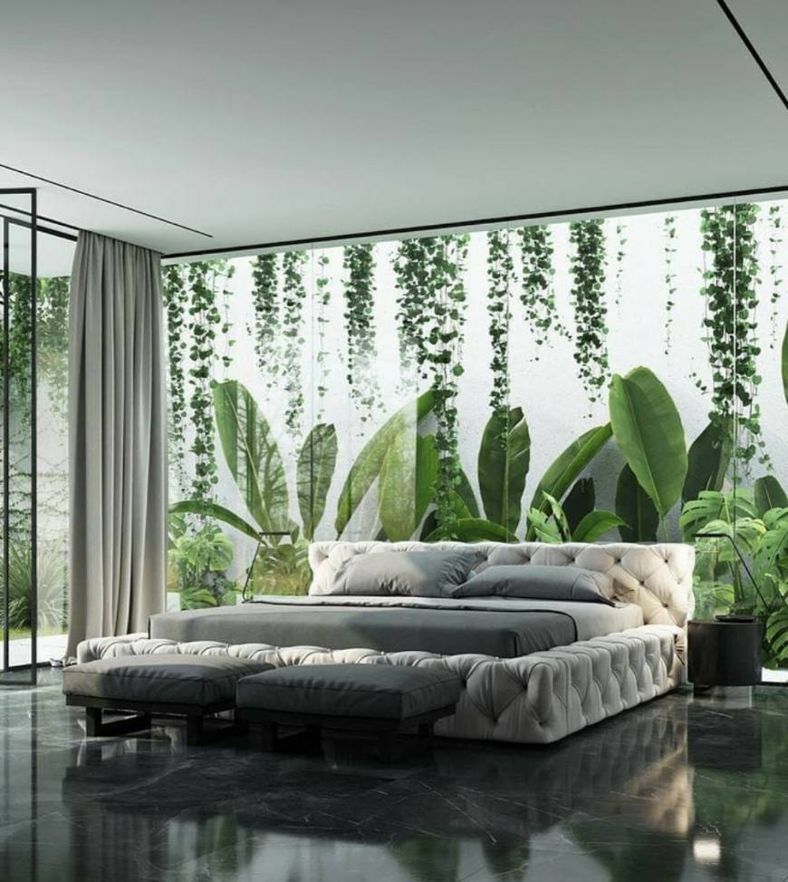 Social Um sonho de quarto 