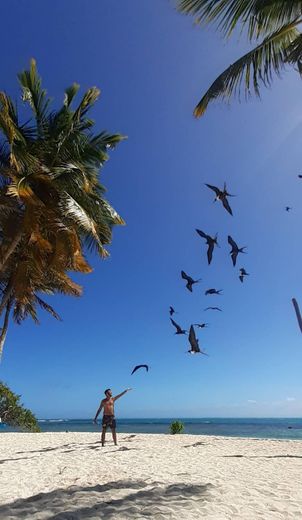 Cayo Playuela