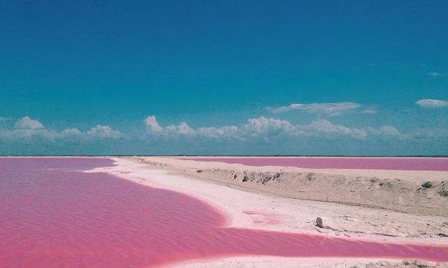 Las Coloradas Pink Lake