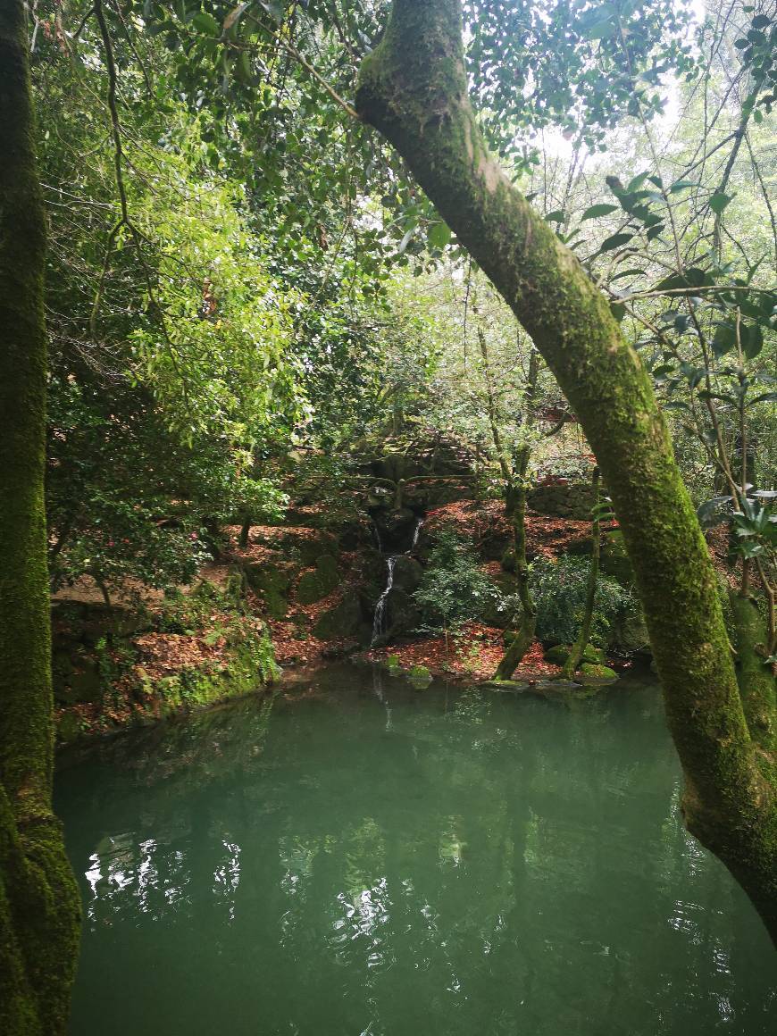 Place Bom Jesus