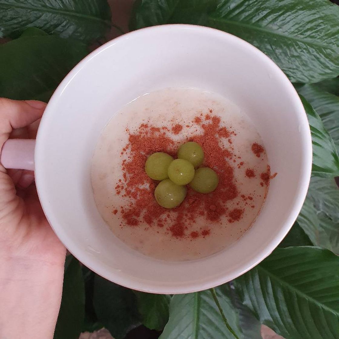 Moda Desayuno 🍓 Avena