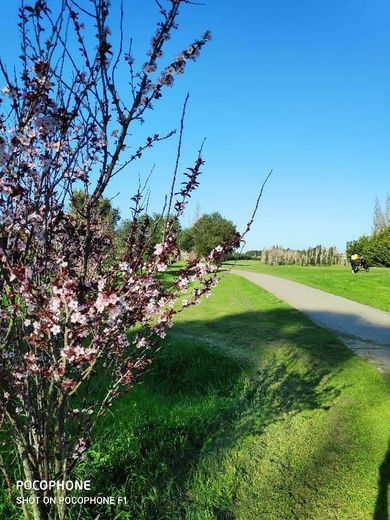 Moda Clube Golfe da Beloura