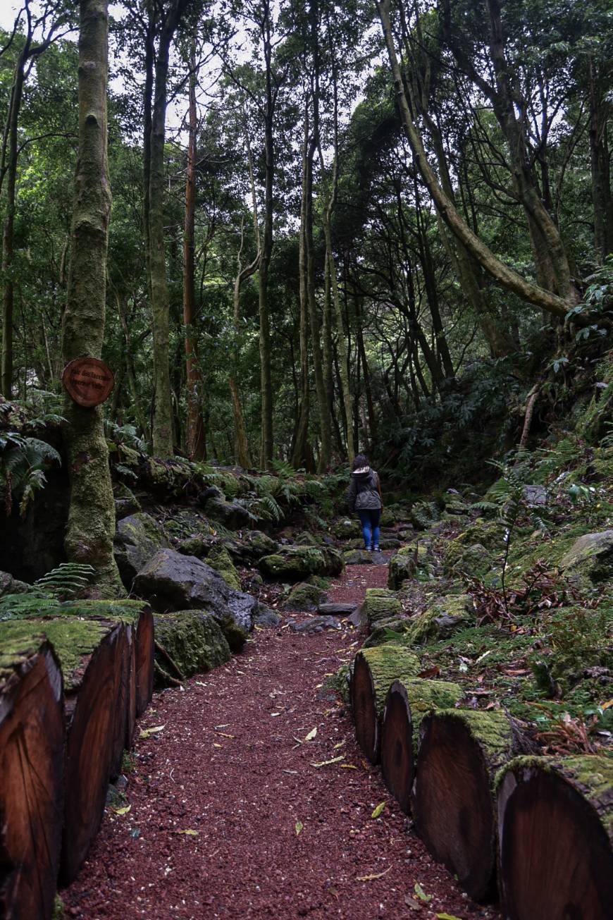 Lugar Parque Grená 