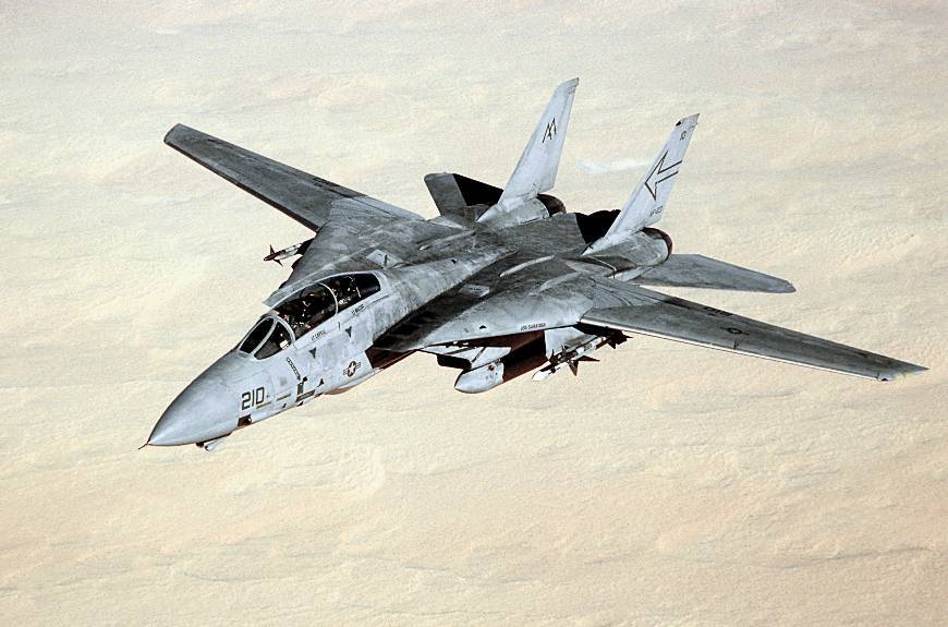 Fashion F-14 Tomcat