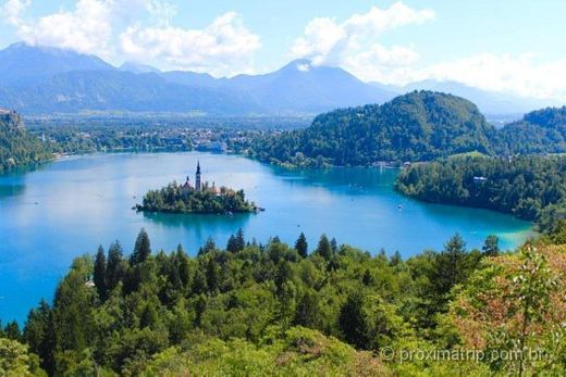 Bled