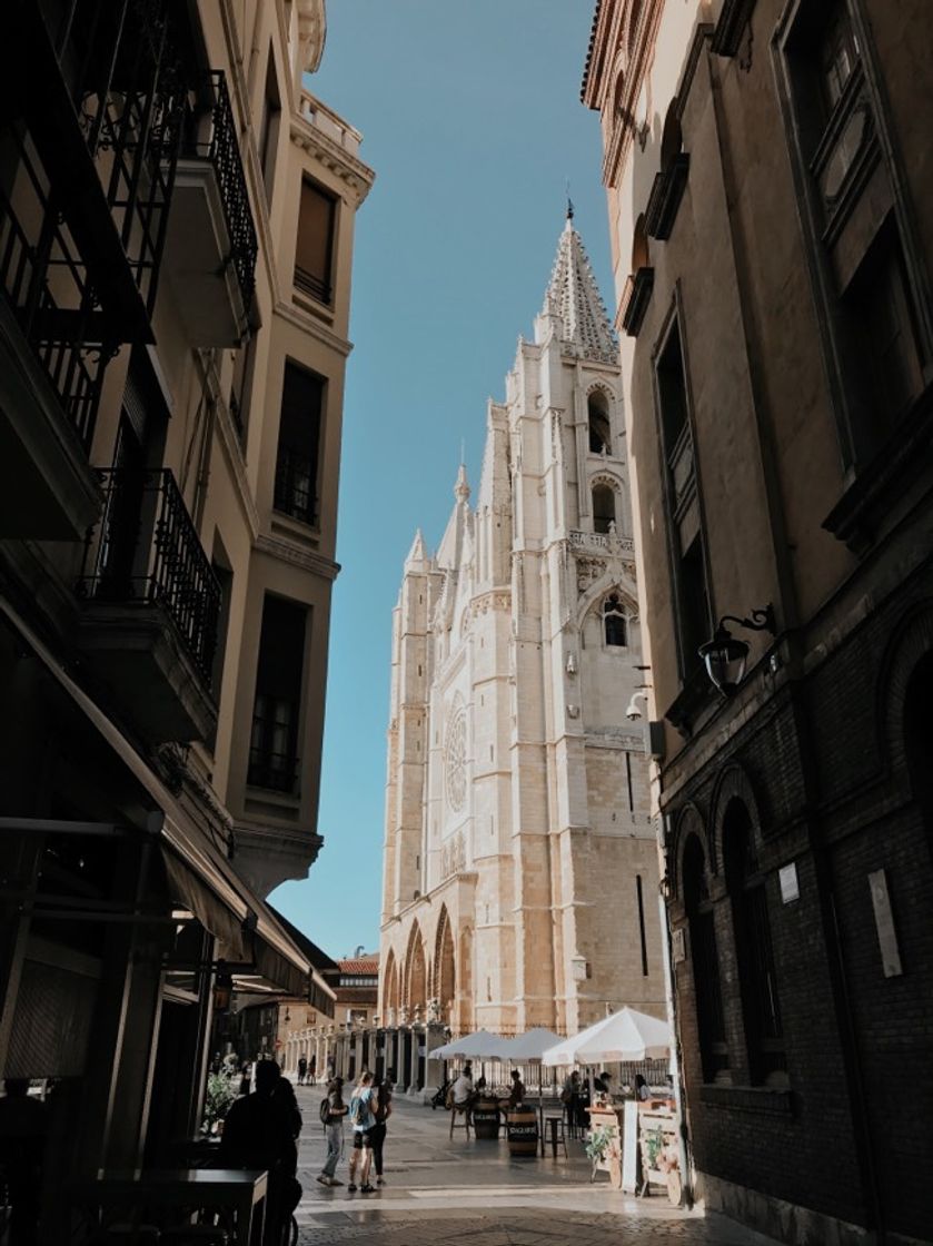 Lugar Catedral de León