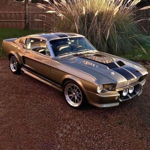 Mustang. 