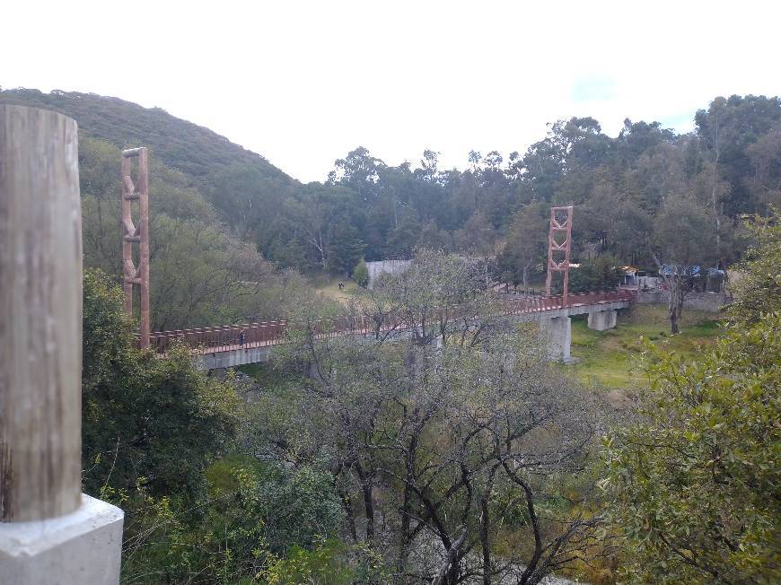 Place Parque de los Ciervos