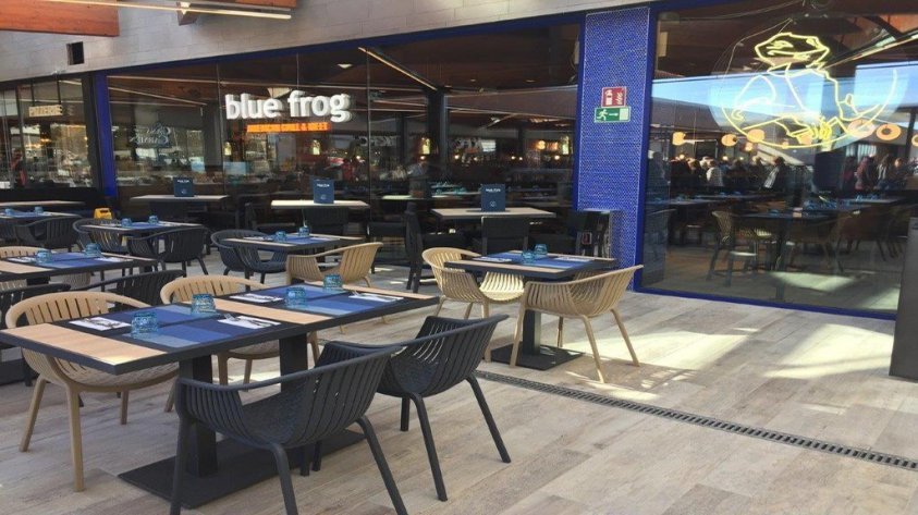 Restaurants Blue Frog American Grill