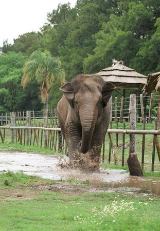 Place Zoológico de Luján