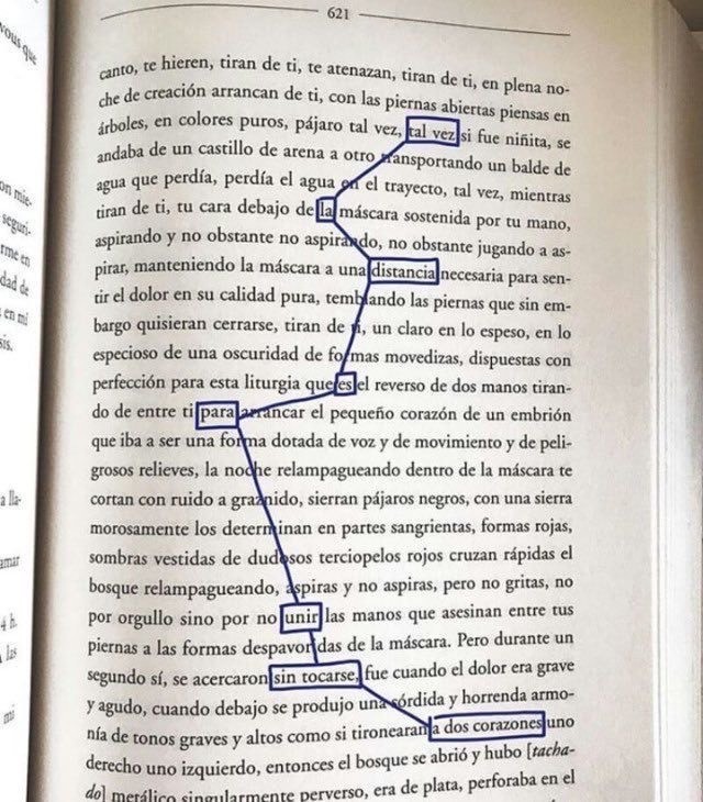 Social 📝