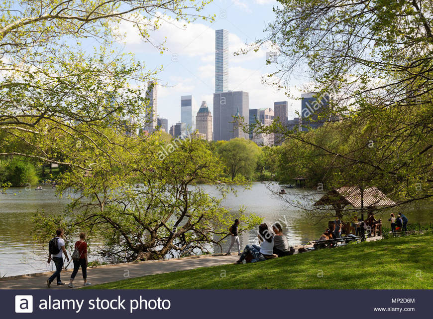 Lugar Central Park