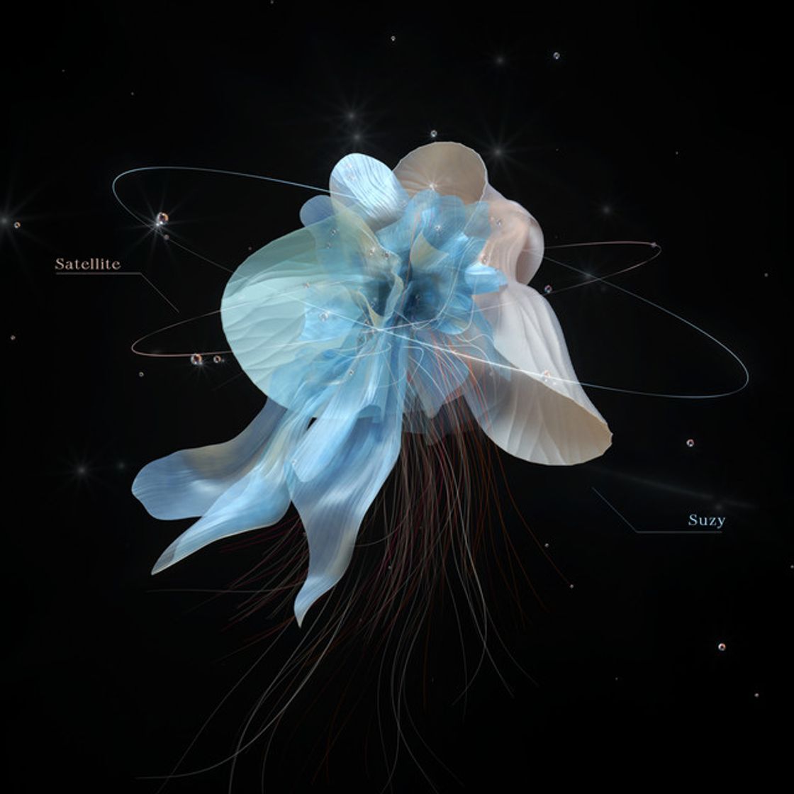 Music Satellite
