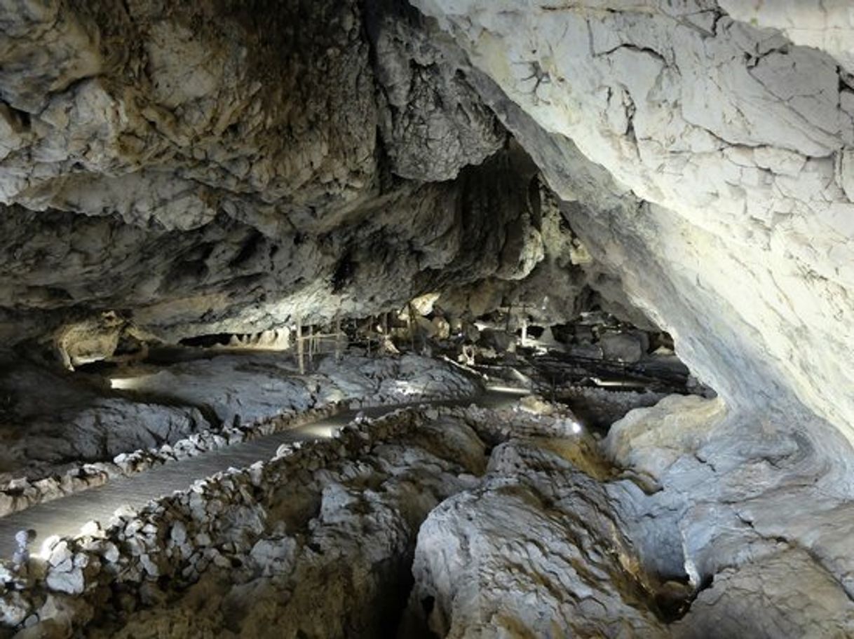 Lugar Cuevas de Pìñar, reservas de entradas y restaurante