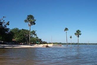 Praia do Guajará de Béja