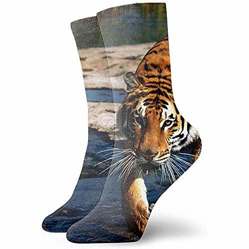 Lugar Dydan Tne Unisex 3D Naturaleza Animales Sebastiao Salgado Fotógrafo Calcetines Crazy Tube