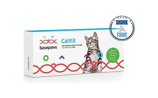 Social Cat DNA Test