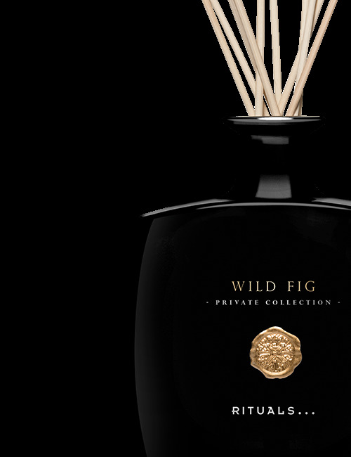 Producto Wild Fig Fragrance Sticks