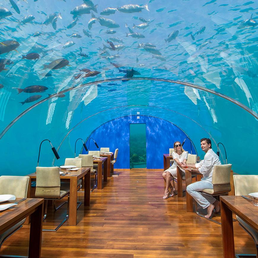 Restaurants Ithaa Undersea Restaurant