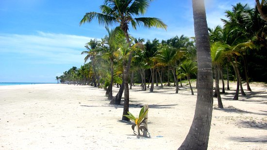 Lugar Playa Juanillo