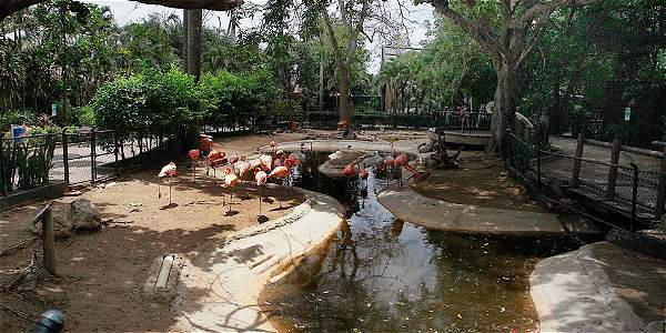 Lugar Zoológico de Barranquilla