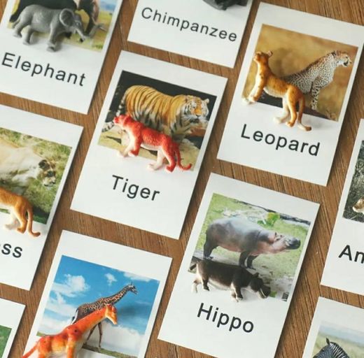 safari animais jogo cartões