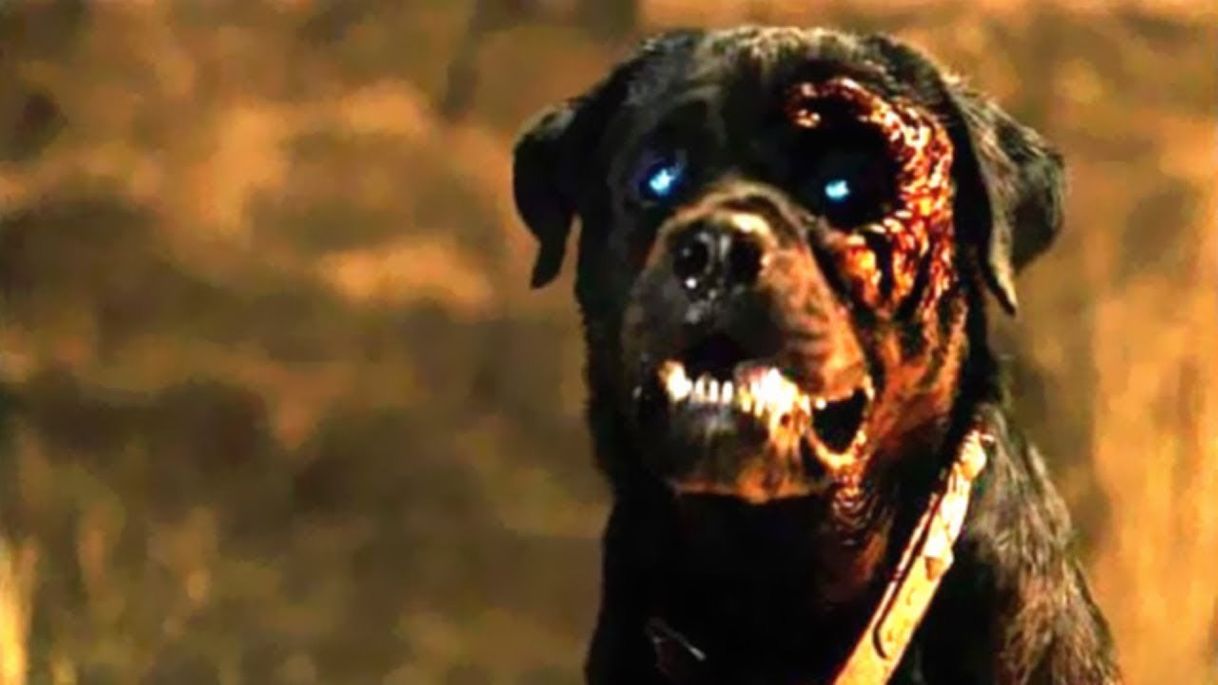 Película Rottweiler filme