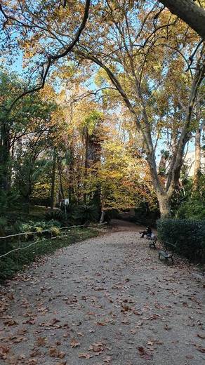 Jardín Botánico de la Universidad de Lisboa