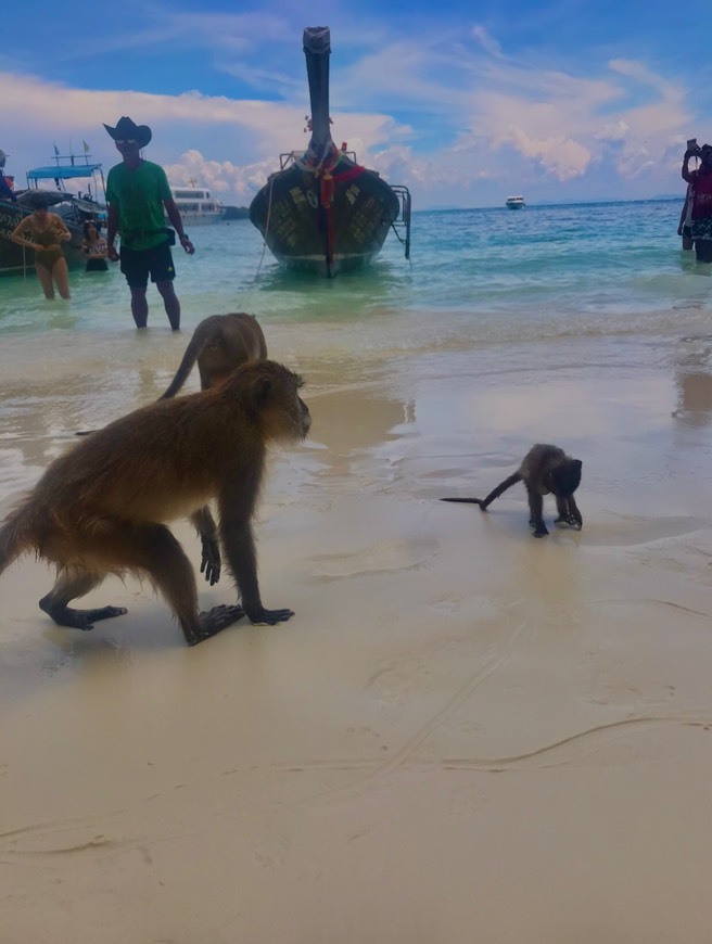 Lugar Monkey Beach