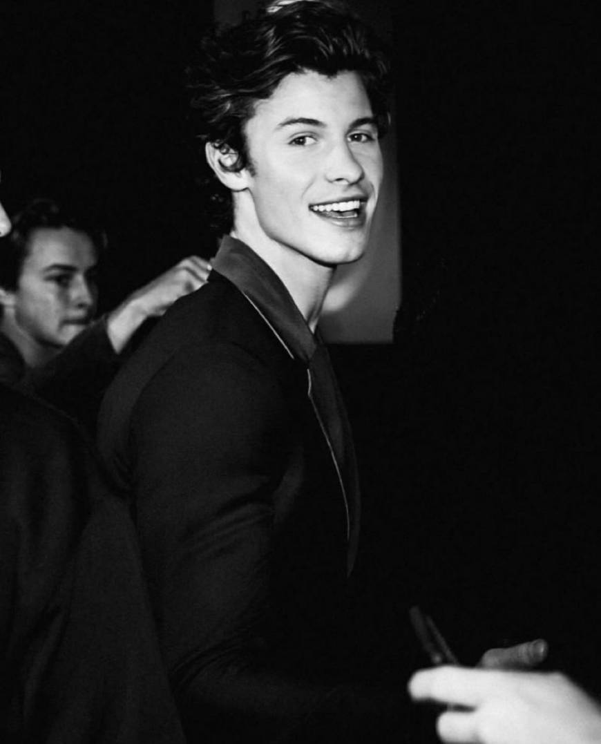 Moda Shawn Mendes