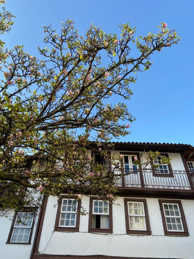 Place Centro Historico