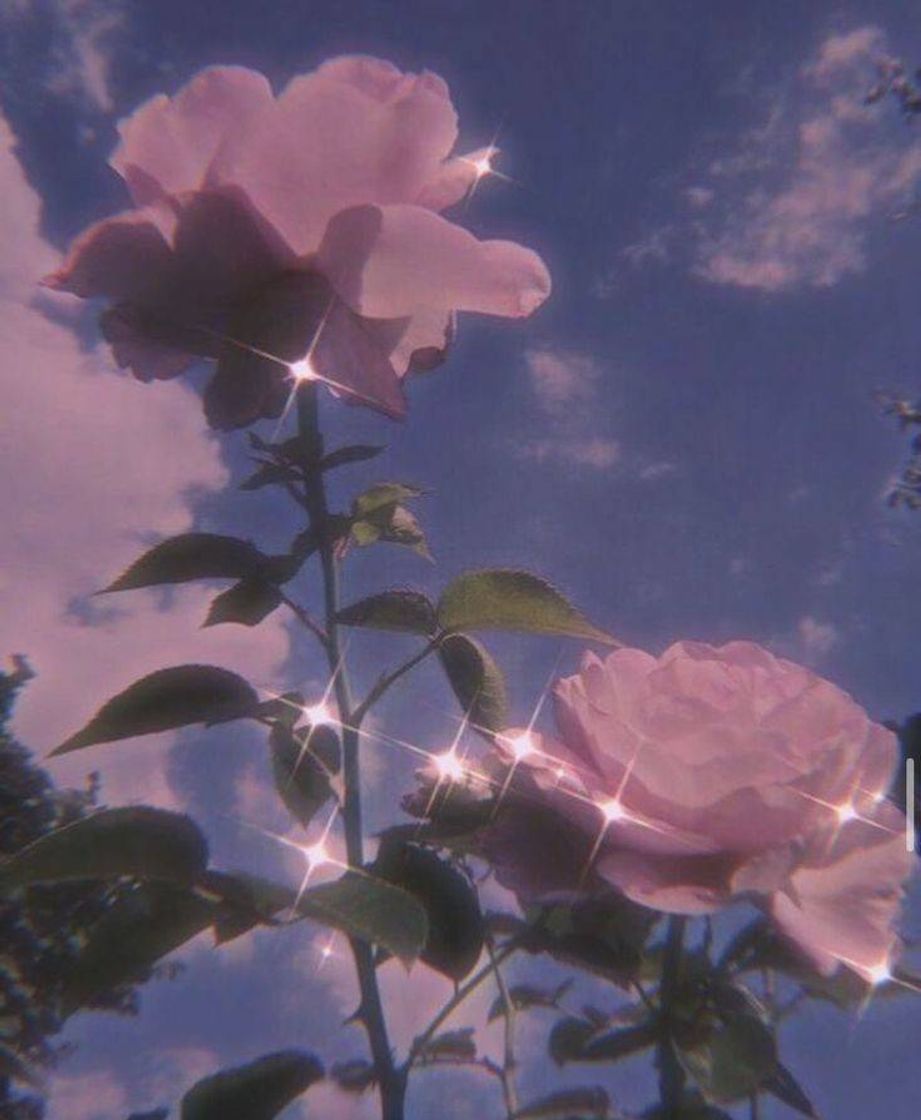 Wallpaper 