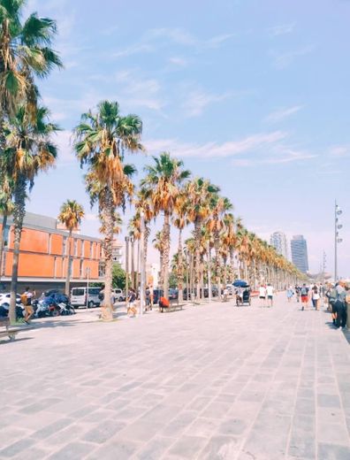 Playa de la Barceloneta