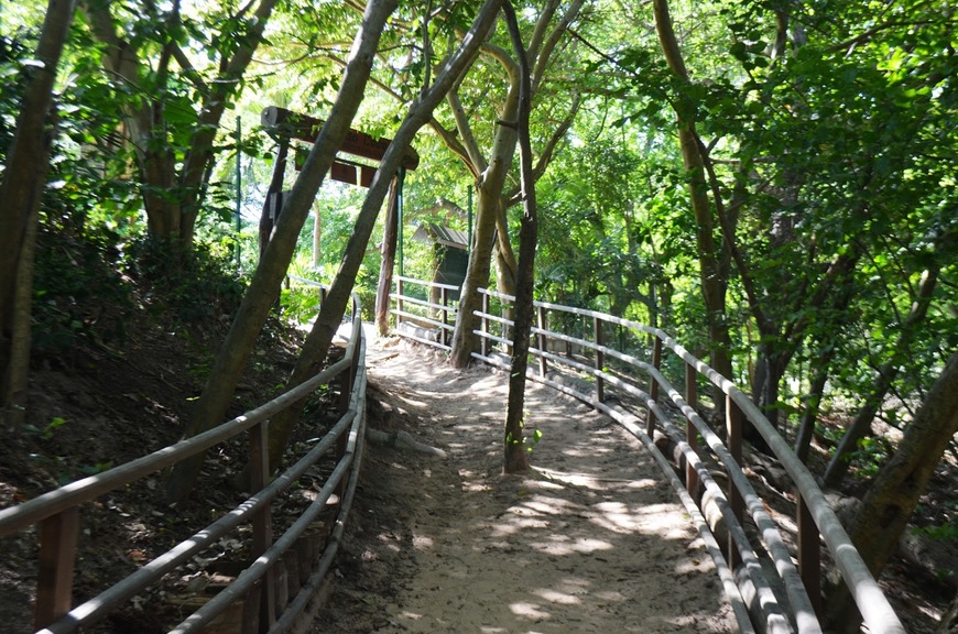 Lugar Avenida Parque do Cocó