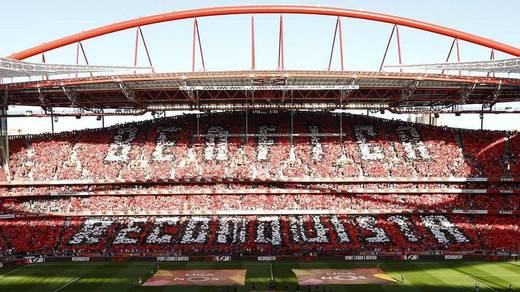 Estádio Sport Lisboa e Benfica