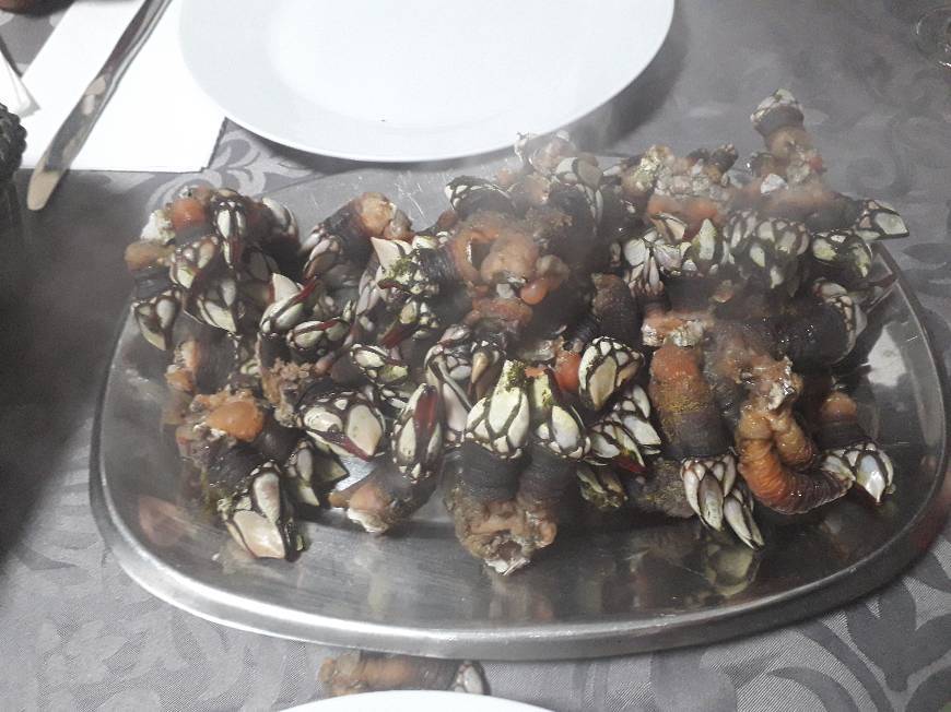 Producto Percebes