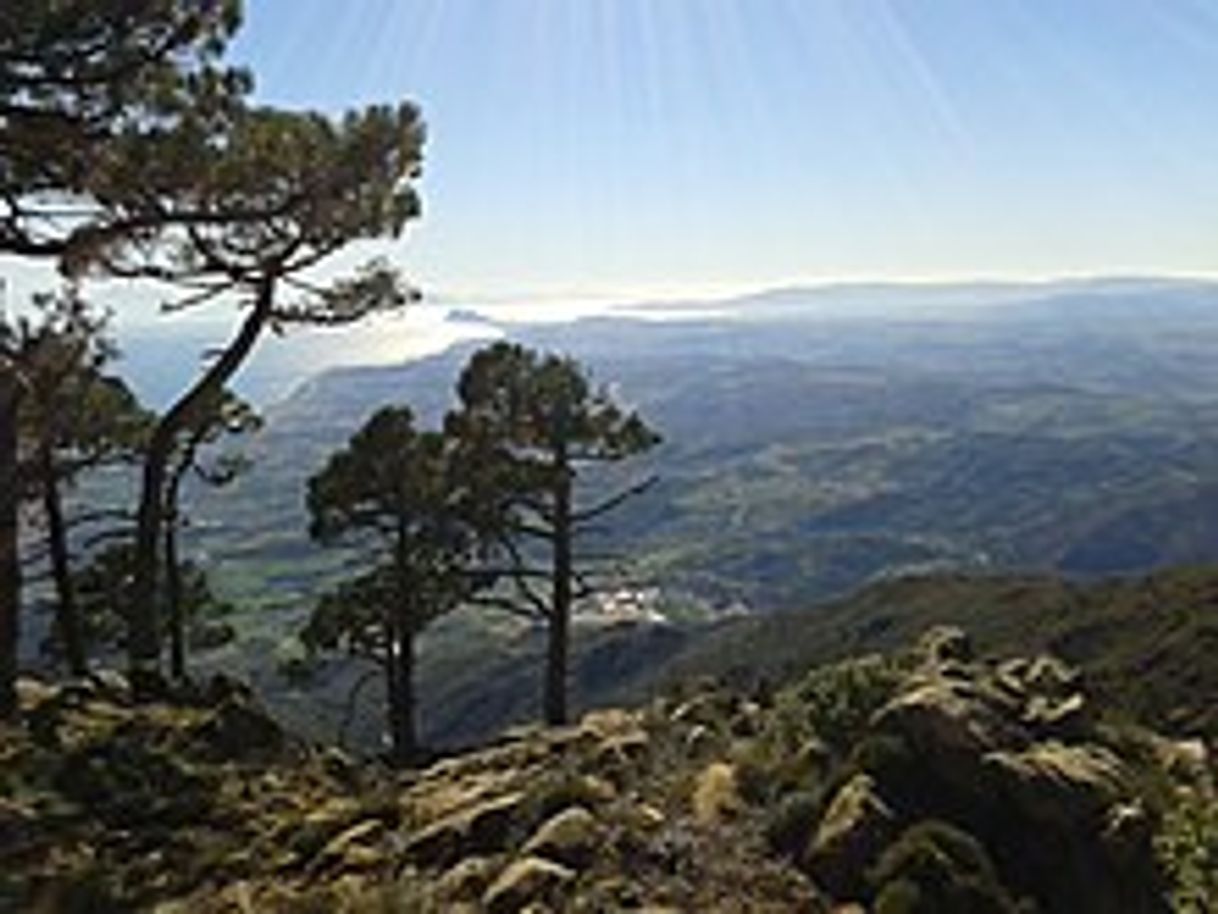 Place Paraje Natural Los Reales de Sierra Bermeja