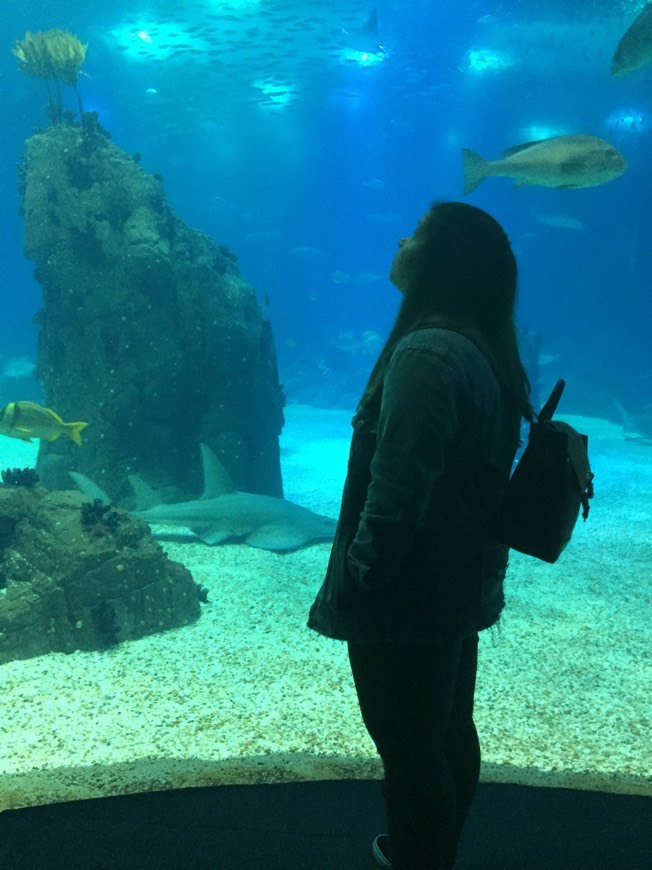 Place Oceanario de Lisboa