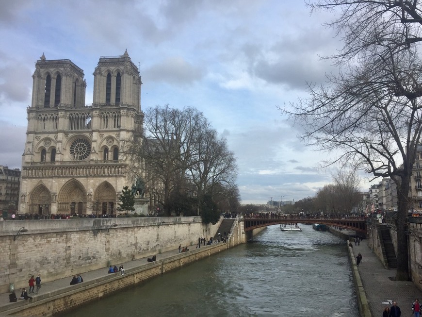 Place Catedral de Notre Dame