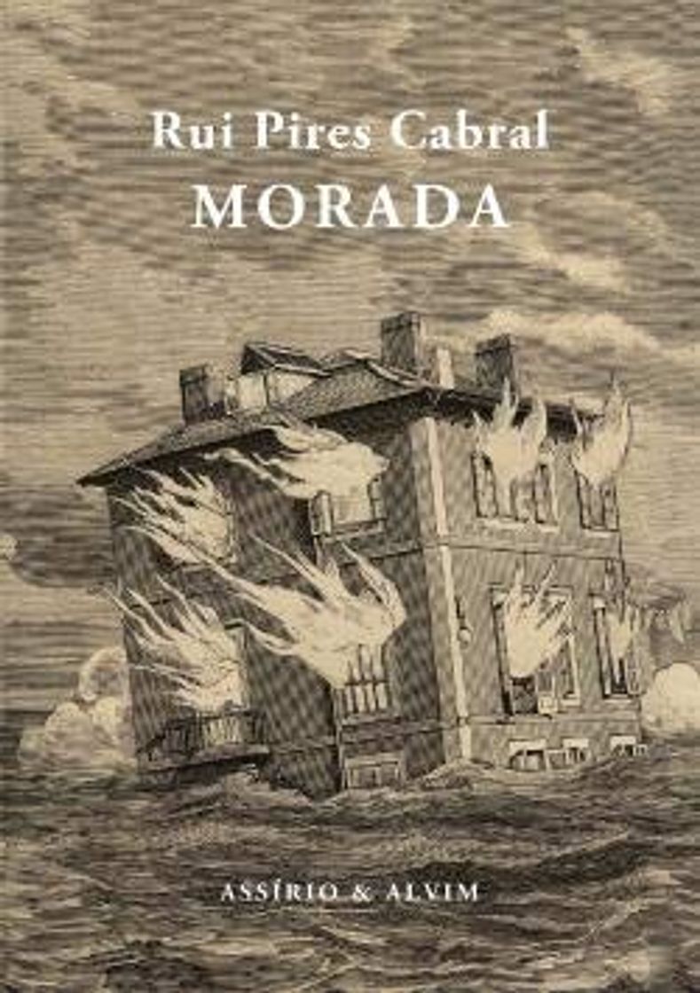 Libro Morada