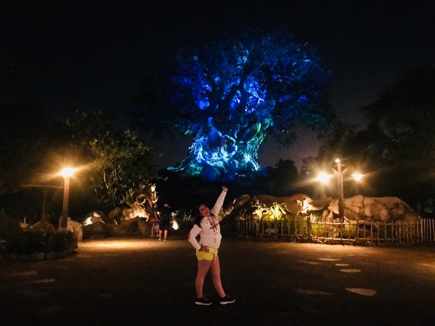 Place Animal Kingdom