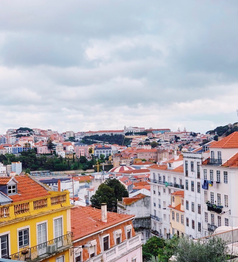 Lugar Príncipe Real